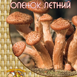 ���������� ����� ������ (12 ��.)  