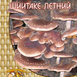 ���������� ������� ������ (12 ��.)  