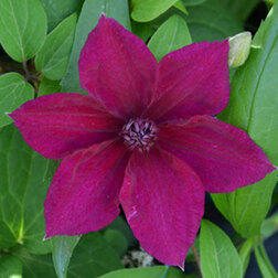 ���������� �������� ��������������� ������  