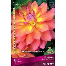 ���������� �������� ������������ ������� (1 ��.)  