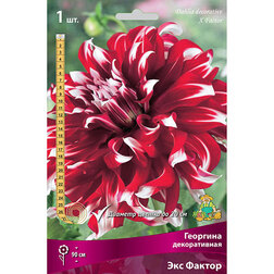 ���������� �������� ������������ ��� ������  