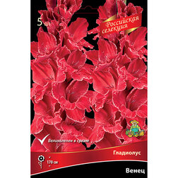 ���������� ��������� ����� (5 ��.)  