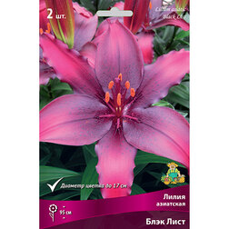 ���������� ����� ��������� ���� ���� (2 ��.)  