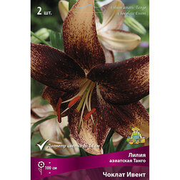 ���������� ����� ��������� ����� ������ ����� (2 ��.)  