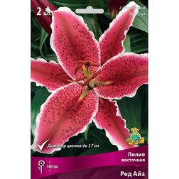 ���������� ����� ��������� ��� ��� (2 ��.)  