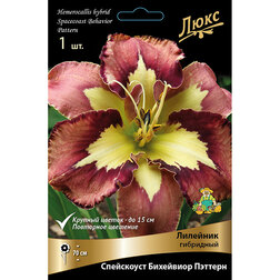 ���������� �������� ��������� ���������� ��������� �������*  