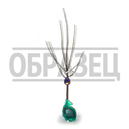 ���������� ����� ������� (�����) �������� (�������������) (������ �����) � �����  