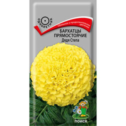 ���������� �������� ������������ ���� �����  