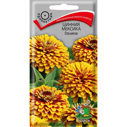 ���������� ������ ������� �������  