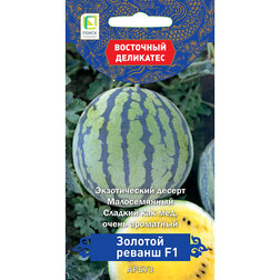 ���������� ����� ������� ������ F1 (��������� ���������)  