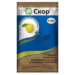 ���������� ���� (2��.) (�� ��������� ��������)  