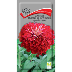 ���������� ������ ����������������� ����� ���� ����  