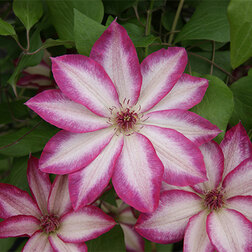 ���������� �������� ��������������� ������  