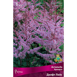 ���������� �������� ������� ����� ����  