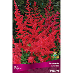 ���������� �������� ������� (������)  