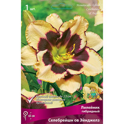 ���������� �������� ��������� ���������� �� ��������  