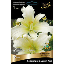 ���������� �������� ��������� ������� ������� ��� *  