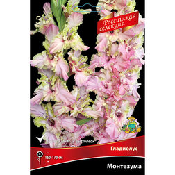 ���������� ��������� ��������� (5 ��.)  