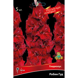 ���������� ��������� ����� ���  