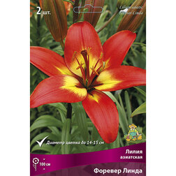 ���������� ����� ��������� ������� ����� (2 ��.)  