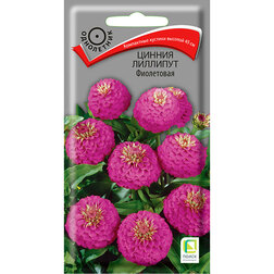 ���������� ������ �������� ����������  