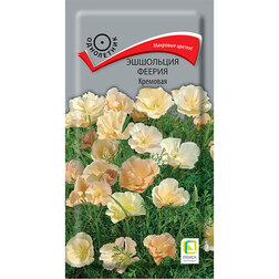 ���������� ��������� ������ ��������  