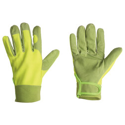 ���������� �������� �/��� Listok (LH 2256)  