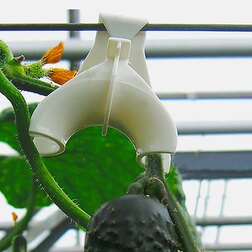 ���������� ���� ��� ������ �������� 5 ��.  