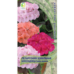 ���������� ���������� ��������� ����������� ����� �������  