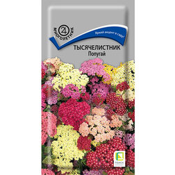 ���������� ������������� �������  