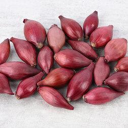 ���������� ���-����� ������ (1��-0,5��)  