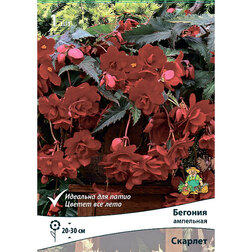 ���������� ������� ��������� ������� (1 ��.)  