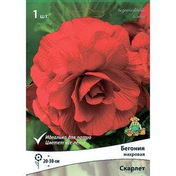 ���������� ������� �������� ������� (1 ��.)  