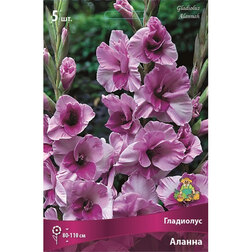 ���������� ��������� ������ (5 ��.)  