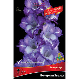 ���������� ��������� �������� ������ (5 ��.)  