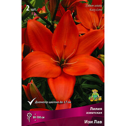 ���������� ����� ��������� ��� ��� (2 ��.)  