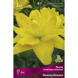 ���������� ����� ��������� ������ ������ (2 ��.)  