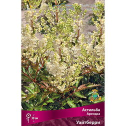 ���������� �������� ������� ���������  