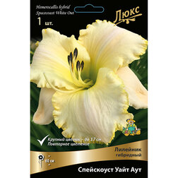 ���������� �������� ��������� ���������� ���� ���  