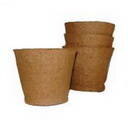 ���������� ������ �������� (80�80)  