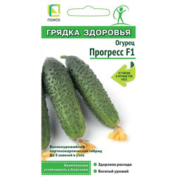 ���������� ������ �������� F1 (����� ������ ��������)  
