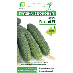 ���������� ������ ������ F1 (����� ������ ��������)  