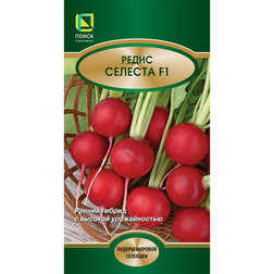 ���������� ����� ������� F1  