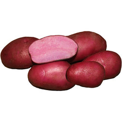 ���������� ��������� �������� ������� (�����) (1��)  