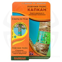 ���������� ������ ������ ����  