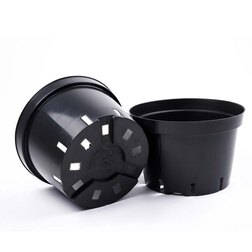 ���������� ������ D29 ����� ������ V10 �  