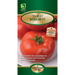 ���������� ����� ������ F1  