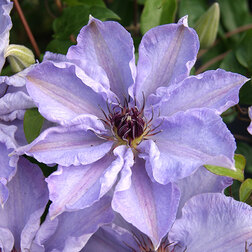 ���������� �������� ��������������� ��������  