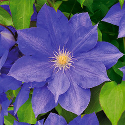 ���������� �������� ��������������� �.�.��� (1-�����)  