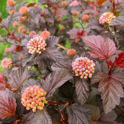 ���������� ������������� ������������� ���� ����� ��  